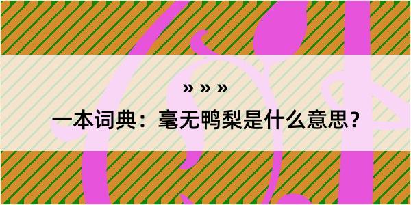 一本词典：毫无鸭梨是什么意思？