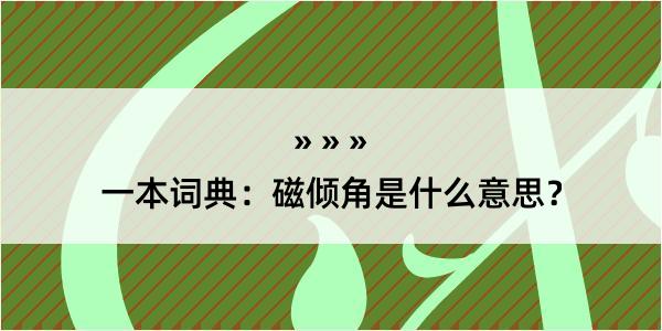 一本词典：磁倾角是什么意思？