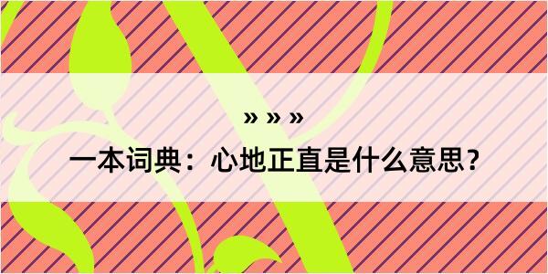 一本词典：心地正直是什么意思？