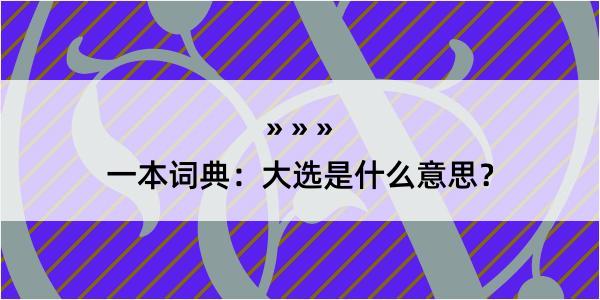 一本词典：大选是什么意思？