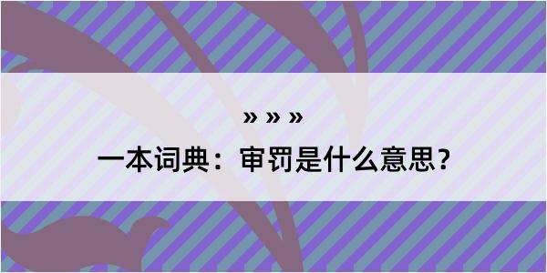 一本词典：审罚是什么意思？