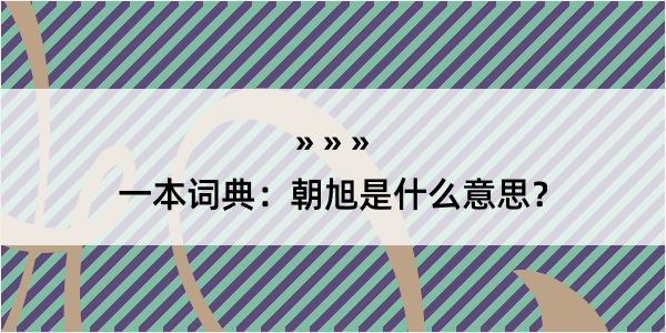 一本词典：朝旭是什么意思？