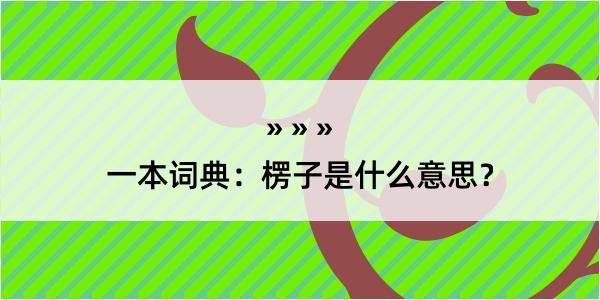 一本词典：楞子是什么意思？