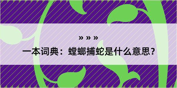 一本词典：螳螂捕蛇是什么意思？