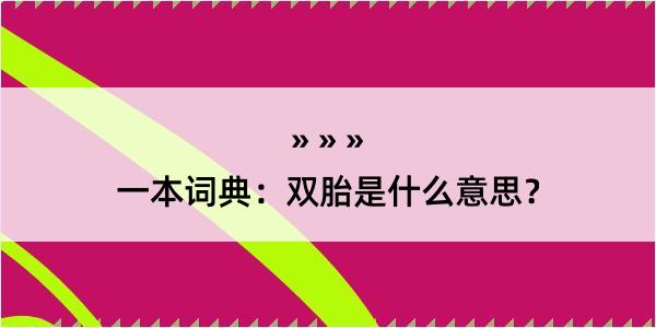 一本词典：双胎是什么意思？