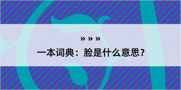 一本词典：脸是什么意思？