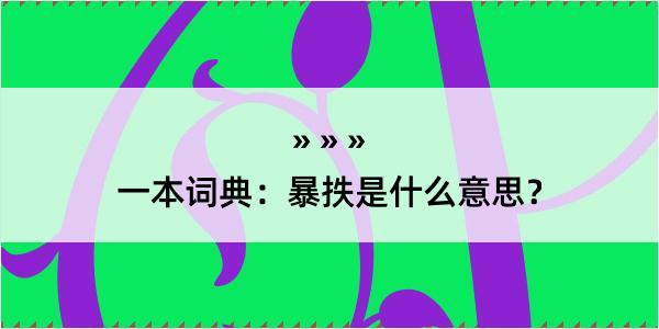 一本词典：暴抶是什么意思？