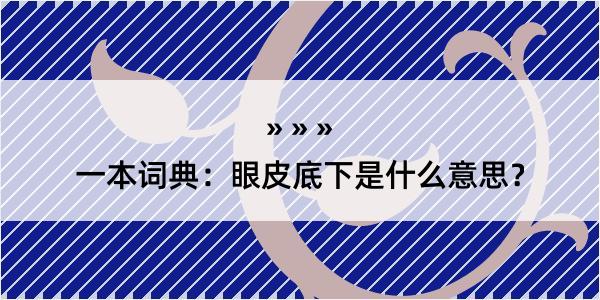 一本词典：眼皮底下是什么意思？