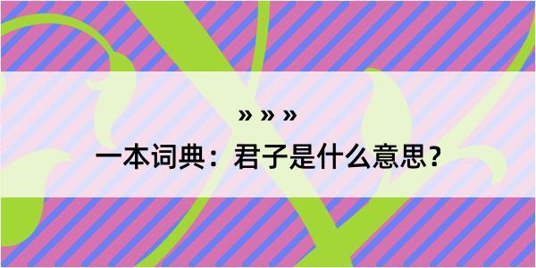 一本词典：君子是什么意思？