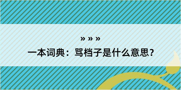 一本词典：骂档子是什么意思？