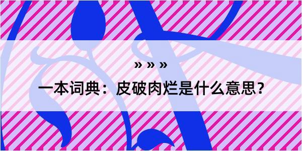 一本词典：皮破肉烂是什么意思？