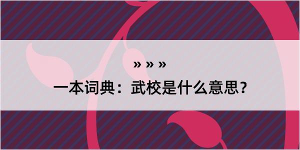 一本词典：武校是什么意思？