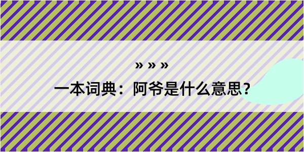 一本词典：阿爷是什么意思？