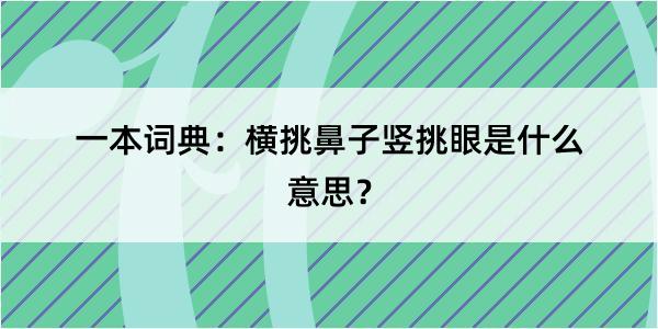 一本词典：横挑鼻子竖挑眼是什么意思？