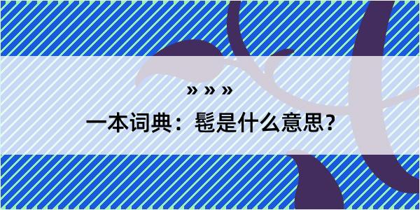 一本词典：髢是什么意思？