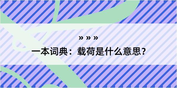 一本词典：载荷是什么意思？