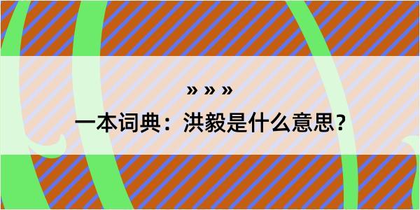 一本词典：洪毅是什么意思？