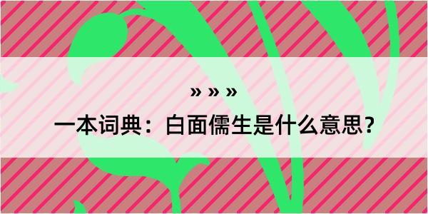 一本词典：白面儒生是什么意思？