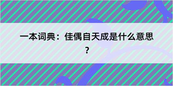 一本词典：佳偶自天成是什么意思？