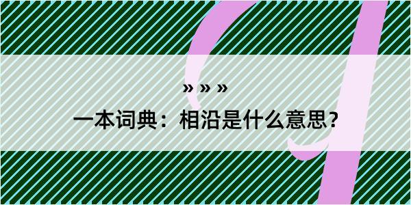 一本词典：相沿是什么意思？