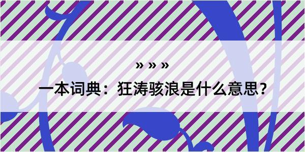 一本词典：狂涛骇浪是什么意思？