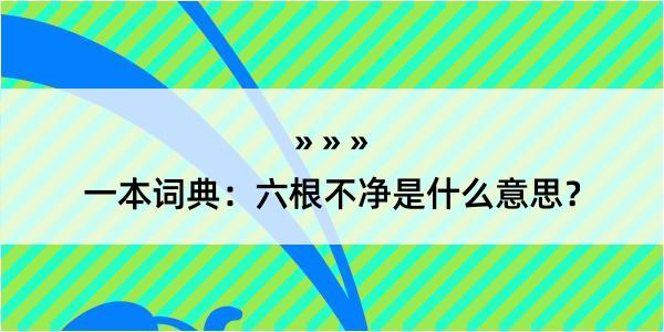 一本词典：六根不净是什么意思？