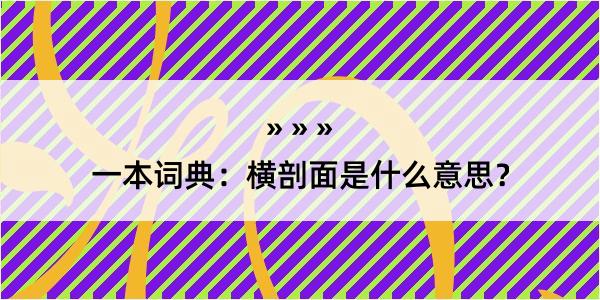 一本词典：横剖面是什么意思？