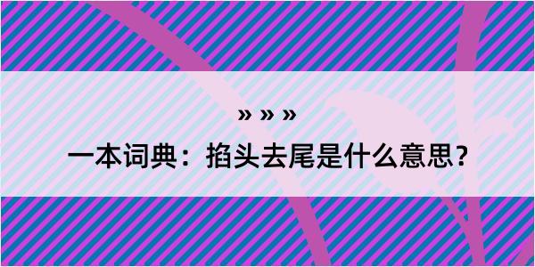 一本词典：掐头去尾是什么意思？