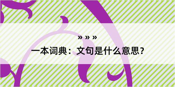 一本词典：文句是什么意思？