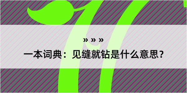 一本词典：见缝就钻是什么意思？