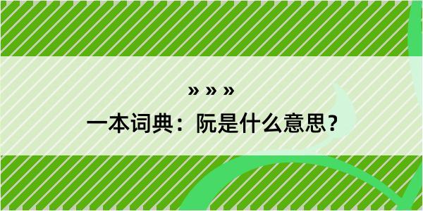 一本词典：阮是什么意思？