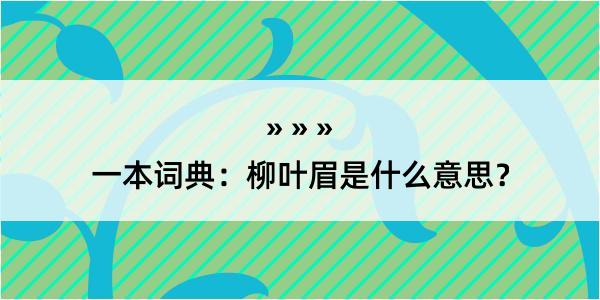 一本词典：柳叶眉是什么意思？