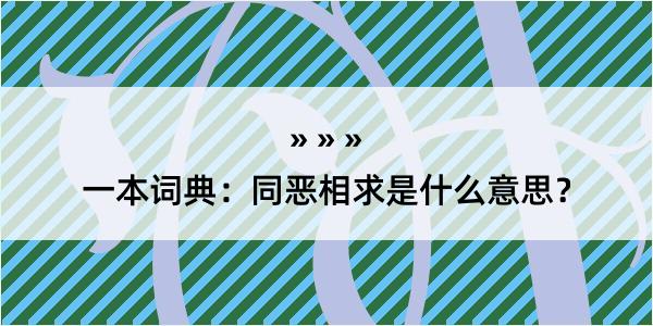 一本词典：同恶相求是什么意思？