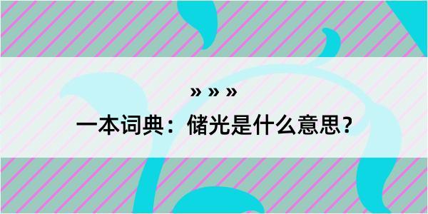 一本词典：储光是什么意思？