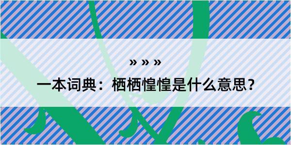 一本词典：栖栖惶惶是什么意思？