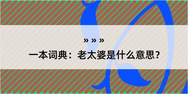 一本词典：老太婆是什么意思？