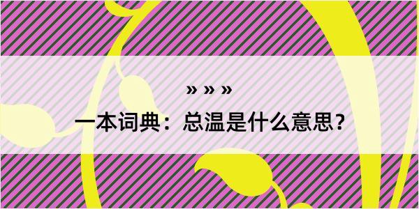 一本词典：总温是什么意思？