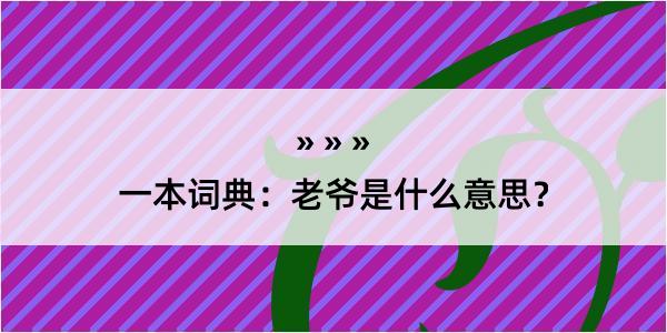 一本词典：老爷是什么意思？