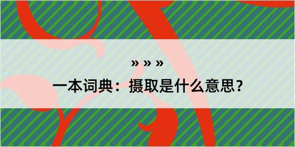 一本词典：摄取是什么意思？