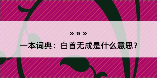 一本词典：白首无成是什么意思？