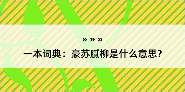 一本词典：豪苏腻柳是什么意思？