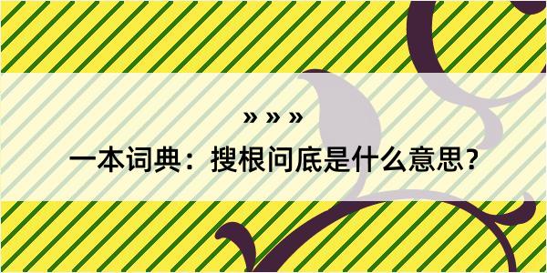 一本词典：搜根问底是什么意思？