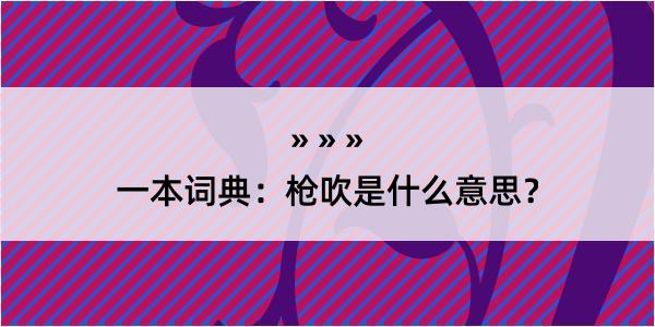 一本词典：枪吹是什么意思？