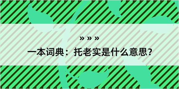 一本词典：托老实是什么意思？