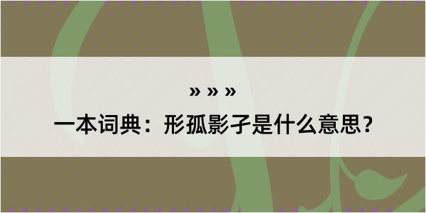 一本词典：形孤影孑是什么意思？