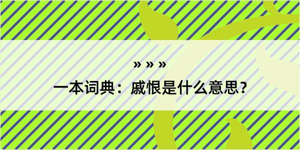 一本词典：戚恨是什么意思？