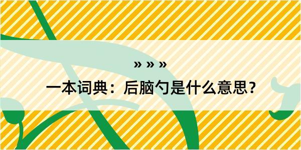 一本词典：后脑勺是什么意思？