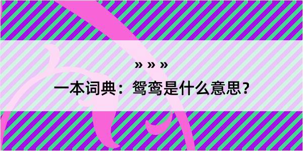 一本词典：鸳鸾是什么意思？