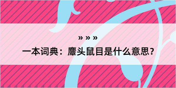 一本词典：麞头鼠目是什么意思？