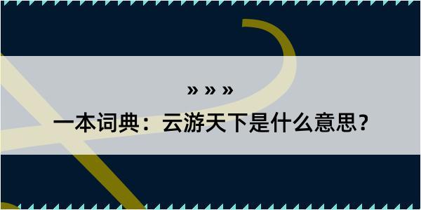 一本词典：云游天下是什么意思？